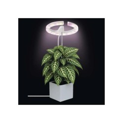 Rastúca lampa EMOS Z7902 Grow 8W