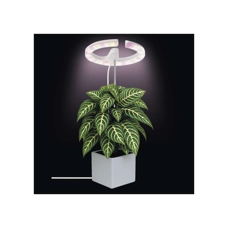 Rastúca lampa EMOS Z7902 Grow 8W