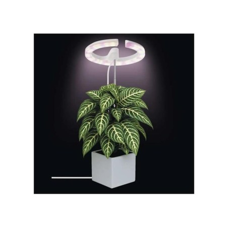 Rastúca lampa EMOS Z7902 Grow 8W