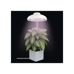 Rastúca lampa EMOS Z7901 Grow 5W