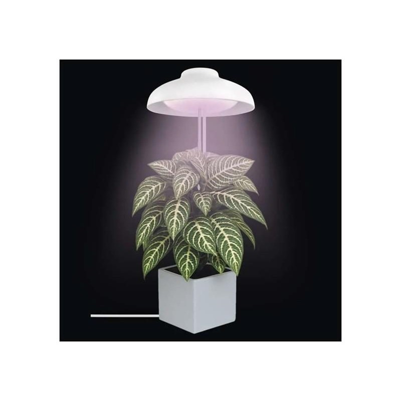 Rastúca lampa EMOS Z7901 Grow 5W