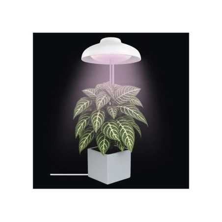 Rastúca lampa EMOS Z7901 Grow 5W