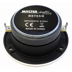 BST03/8 Master Audio reproduktor