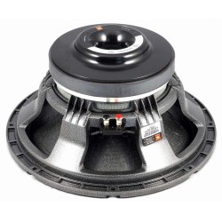 15SWS1200 JBL Selenium reproduktor