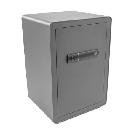 Trezor G21 na odtlačok prsta 420x600x380mm