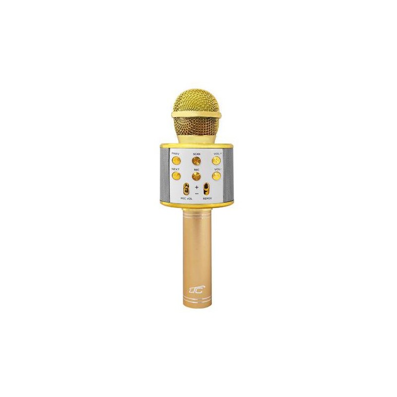 Detský karaoke mikrofón LTC LXMIC100R Gold
