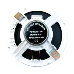 CS200H Master Audio reproduktor