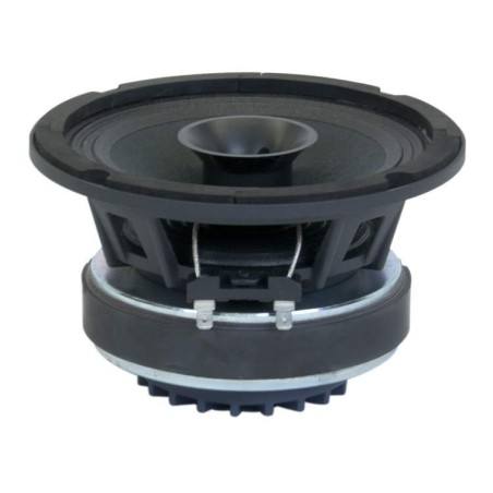 CSX06 Master Audio reproduktor