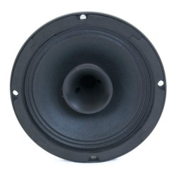 CSX06 Master Audio reproduktor