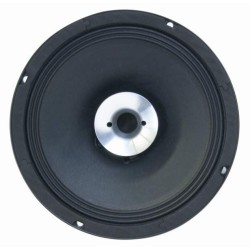 CSX10 Master Audio reproduktor