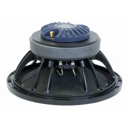 CSX12 Master Audio reproduktor