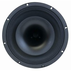 CSX12 Master Audio reproduktor