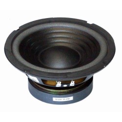 CW650/8 Master Audio reproduktor