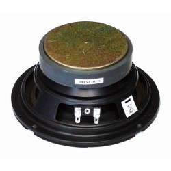 CW650/8 Master Audio reproduktor