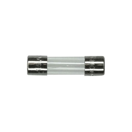 Pojistka T 6.3A