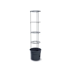 Kvetináč na pestovanie paradajok TOMATO GROWER antracit 29,5cm