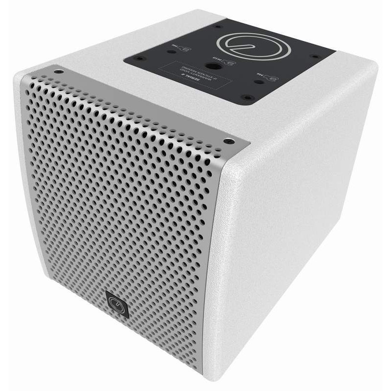 4FW50T-W INTUSONIC reprosústava