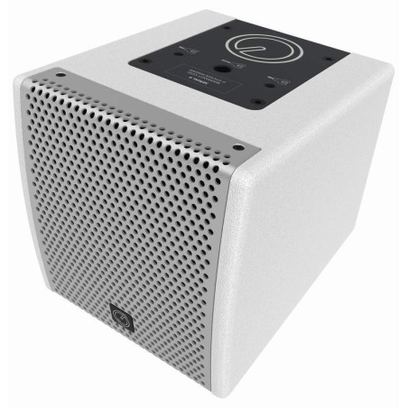 4FW50T-W INTUSONIC reprosústava