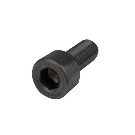 Skrutka imbus M8x25 A2 čierna