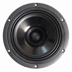 5,5C1,5CP SICA loudspeaker reproduktor