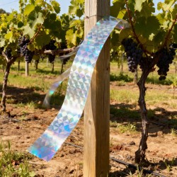 Páska na plašenie vtákov - 30 m x 24 mm