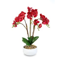 Umelá rastlinná dekorácia - orchidea - 5 druhov - 56 cm