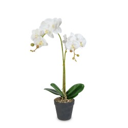 Umelá rastlinná dekorácia - orchidea - 2 druhy - 54 cm