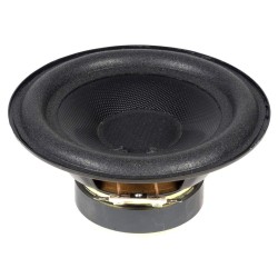 5DR61007 reproduktor