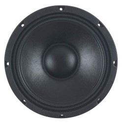 10N2,5PL/4 SICA loudspeaker reproduktor