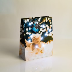 Darčeková taška -10 studených bielych LED, papier - 265 x 127 x 330 mm - 4 druhy / balenie