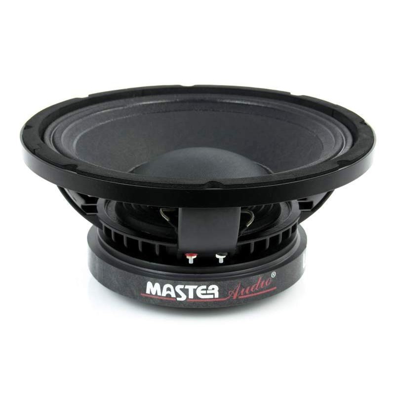 LSN10/4 Master Audio reproduktor