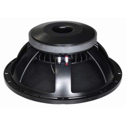 LSN15/8 Master Audio reproduktor