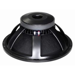 LSN18/4 Master Audio reproduktor