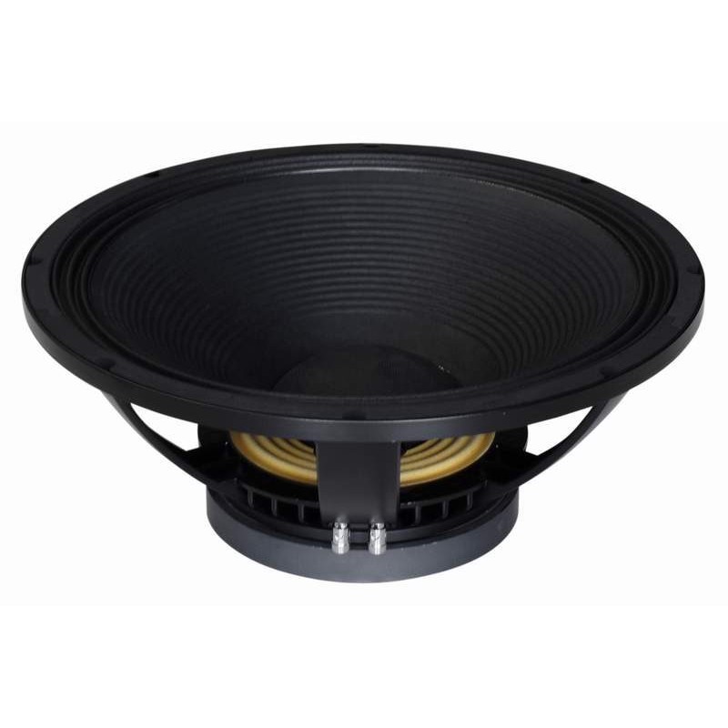 LSN18/8 Master Audio reproduktor