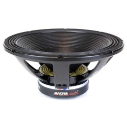 LSN21/4 Master Audio reproduktor