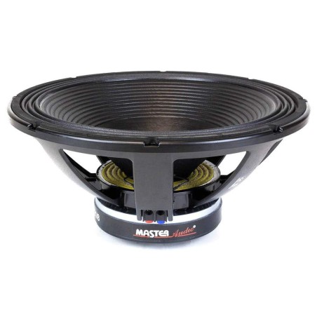 LSN21/8 Master Audio reproduktor