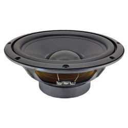 MA20W/8 Master Audio reproduktor