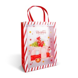 Vianočná darčeková taška - 32 x 25 x 11 cm - 2 druhy