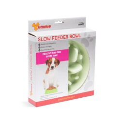 Miska proti hltaniu - 20 x 20 x 4,5 cm - zelená