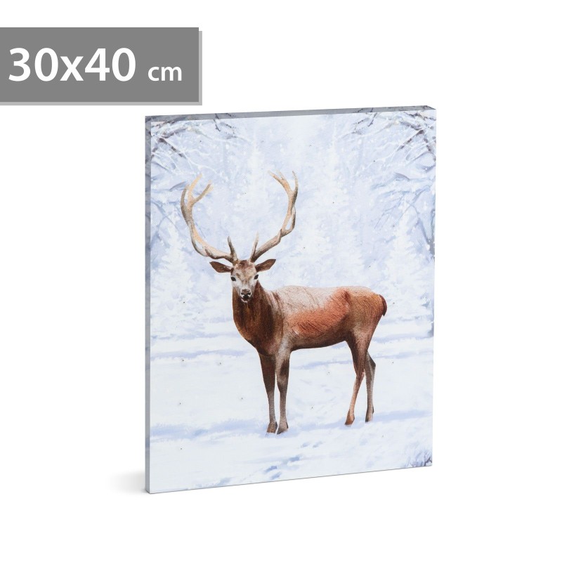 LED obraz - sob - 2 x AA, 30 x 40 cm