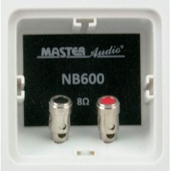 NB600W Master Audio reprosústavy