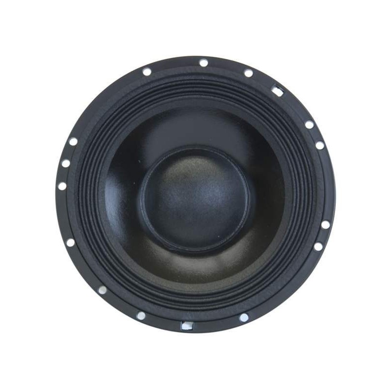 NST06 Master Audio reproduktor