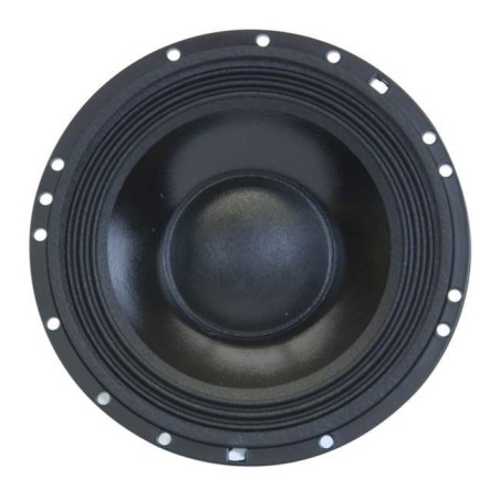 NST06 Master Audio reproduktor