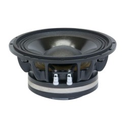 NST06 Master Audio reproduktor