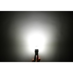 Autožiarovka LED T20 12V CARCLEVER 95AC005 balenie 2 ks