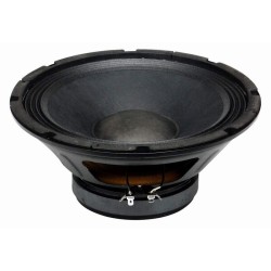 PL10 BS ACOUSTIC reproduktor