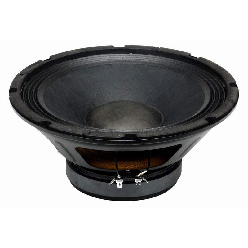 PL10 BS ACOUSTIC reproduktor