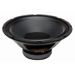 PL12 BS ACOUSTIC reproduktor