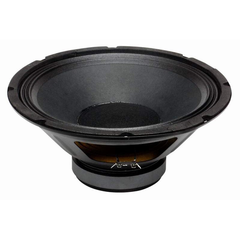 PL12 BS ACOUSTIC reproduktor