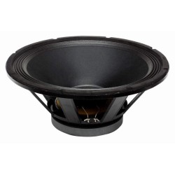 PL18 REPAS BS ACOUSTIC reproduktor